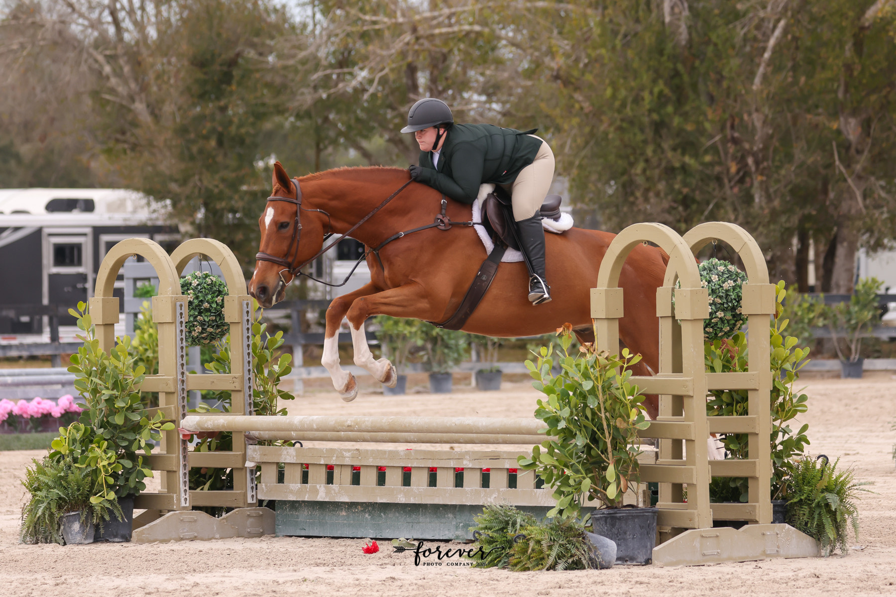 PHOTO OF GALAXY WEB ANNA FOX LEA OF JAN 2026