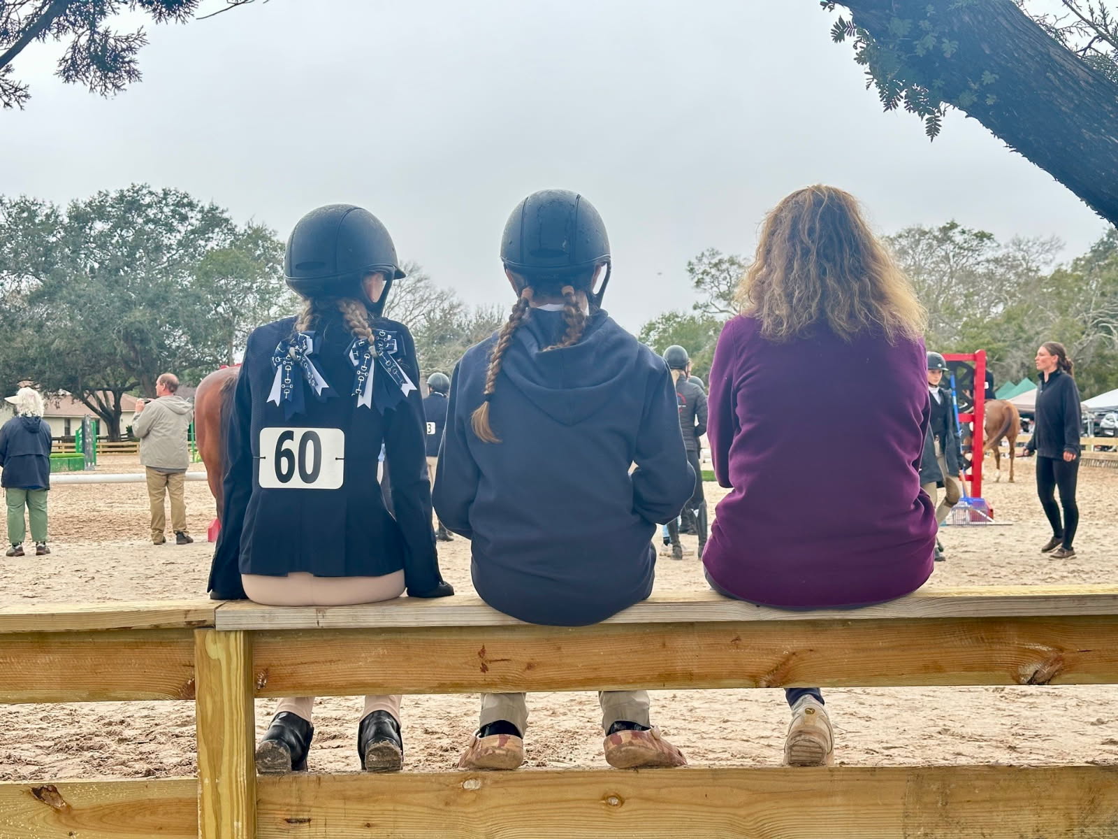 PHOTO OF GALAXY WEB IEA FENCE 2026