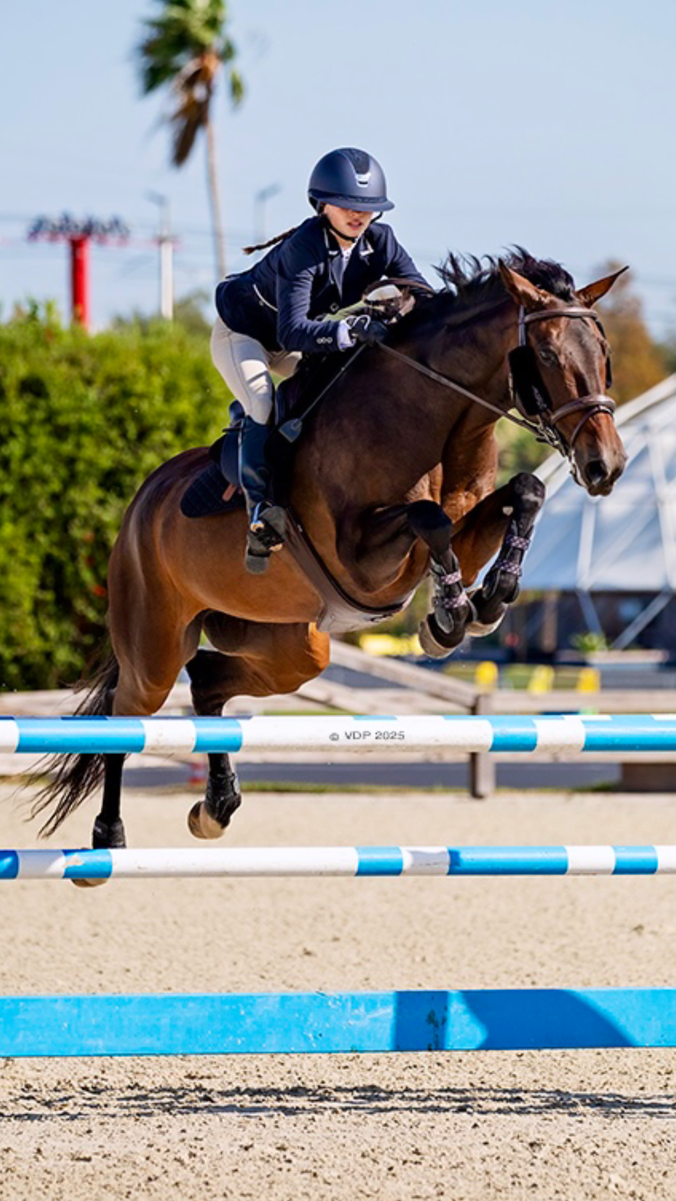 PHOTO OF GALAXY WEB KENZIE JUMP HEADON JAN 2026