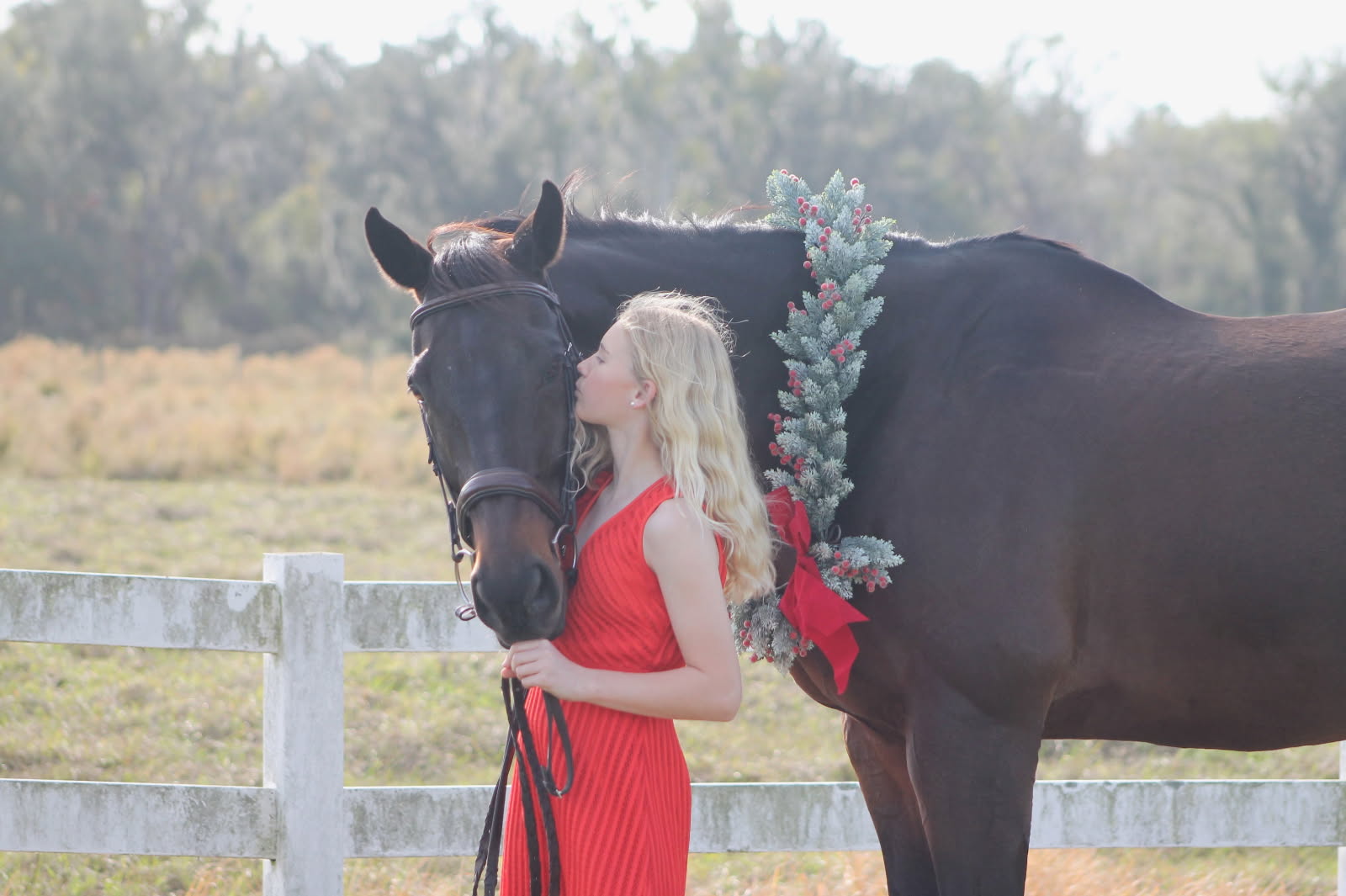 PHOTO OF GALAXY WEB SOPHIA DASH XMAS