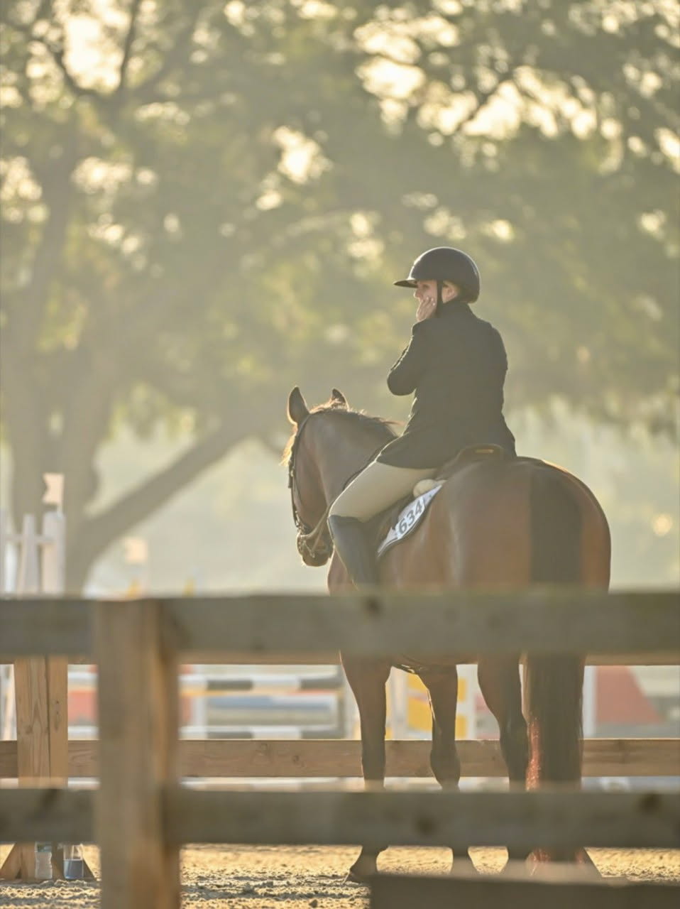 PHOTO OF GALAXY WEB WALTER SILHOUETTE